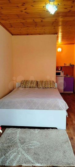 1-к. квартира, 20 м² (Абхазия)
