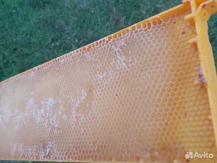 Рамки для пчел