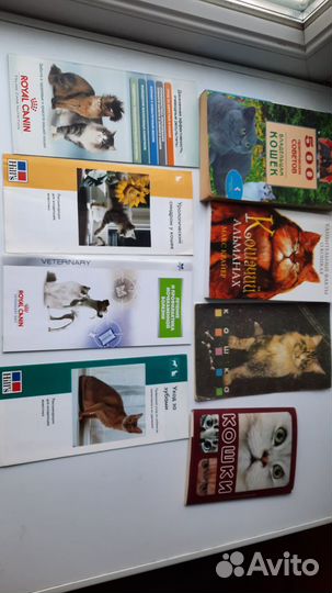 Книги буклеты про кошек