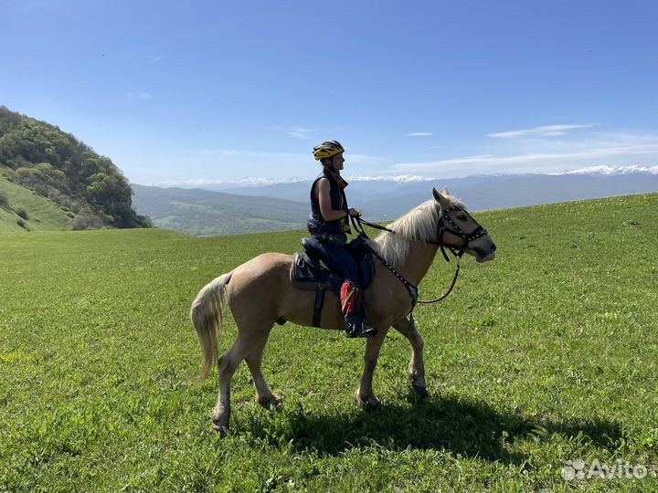 Конные прогулки, походы