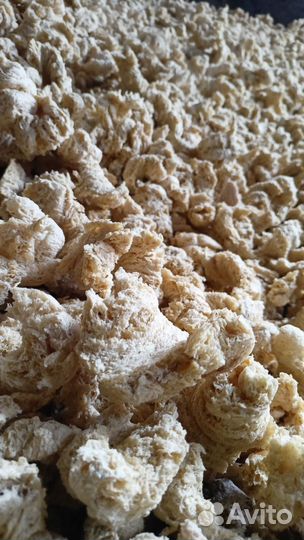 Корма экструдированные. Корм для собак