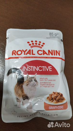 Влажный корм для кошек royal canin