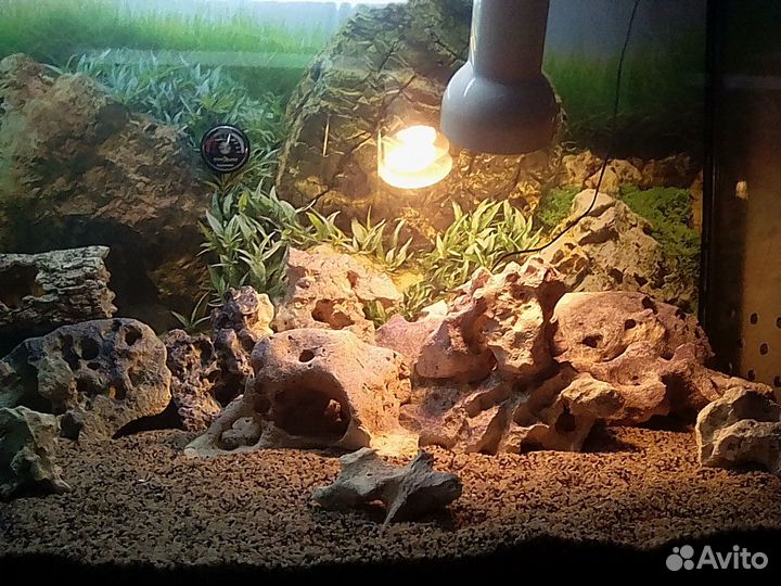 Кенийский камень