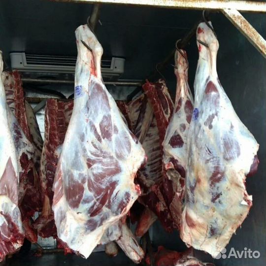 Продам мясо