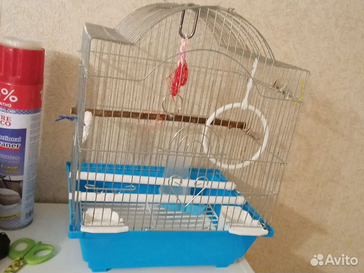 Волнистый попугай пара с клеткой