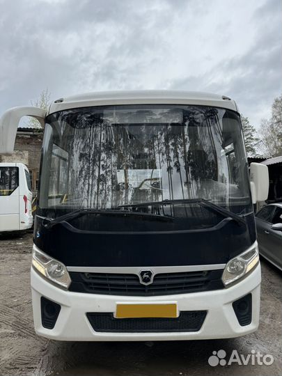 Городской автобус ПАЗ Вектор Next, 2019