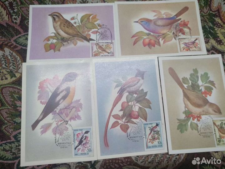 Открытки СССР