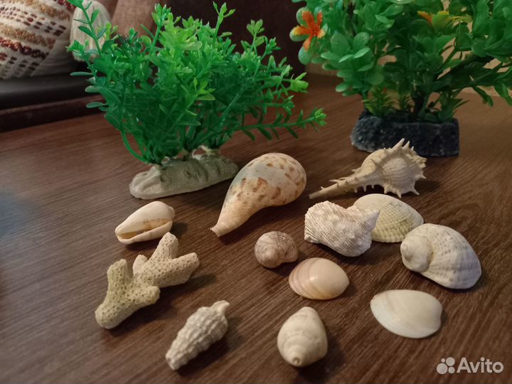 Аксессуары для аквариума