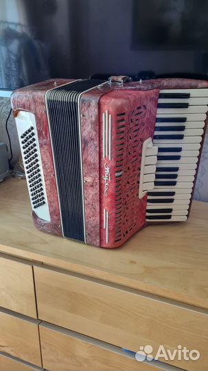 Аккордеон Тула