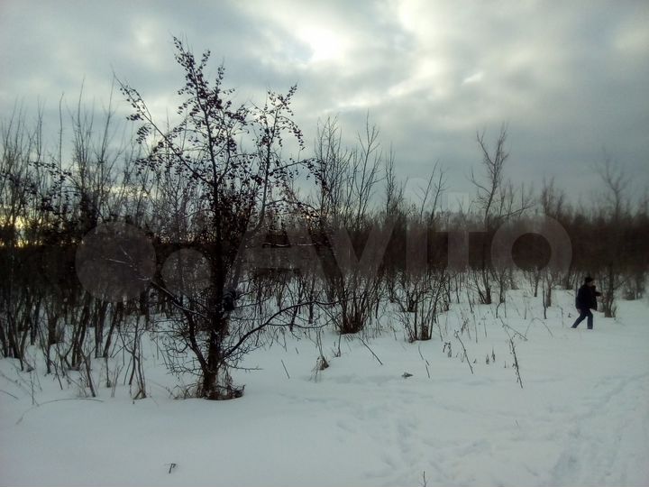 Участок 6 га (СНТ, ДНП)
