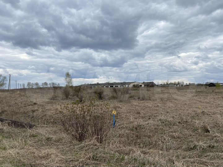 Здание, 3000 м²