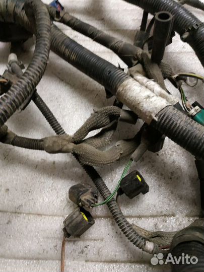 Проводка моторная Ford Mondeo 3 (2000-2007)