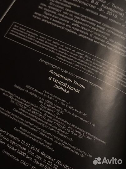 Тилль Линдеманн - В тихой ночи (Лирика)