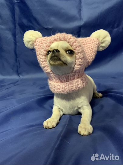 Девочка Мечта