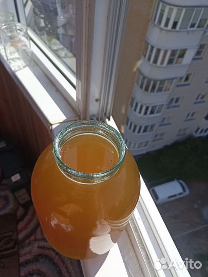 Мед акации