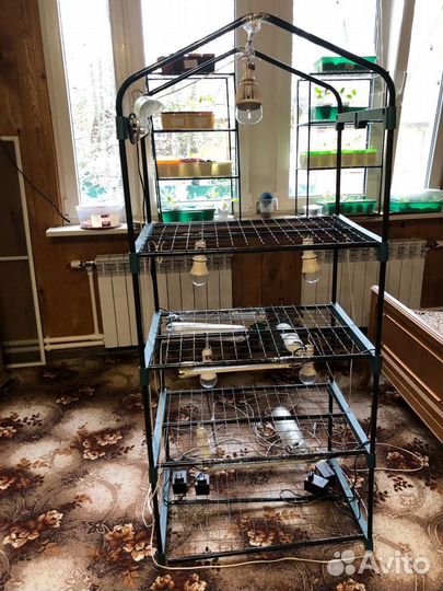 Теплица для рассады