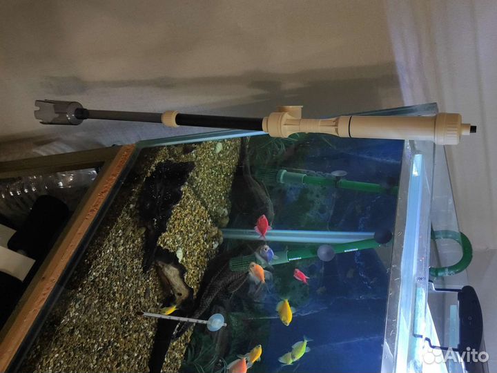 Аквариум