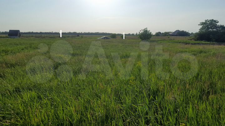 Участок 11,6 сот. (ИЖС)
