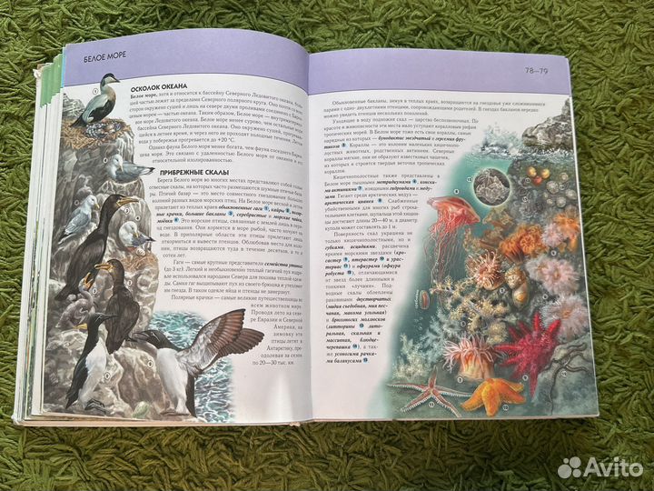 Подводный мир. Полная энциклопедия