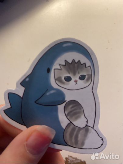 Кот наклейка