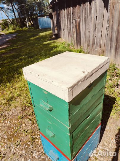 Пчелы и улья