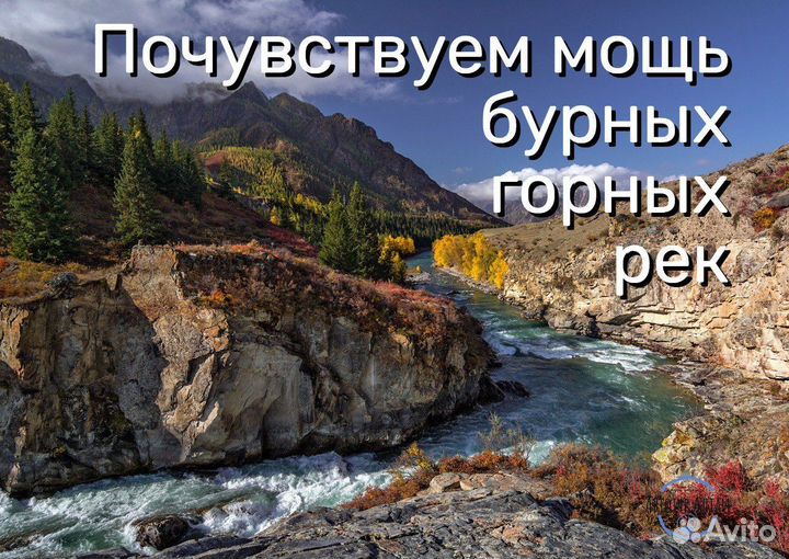 Туры на Алтай: Вояж по Алтаю