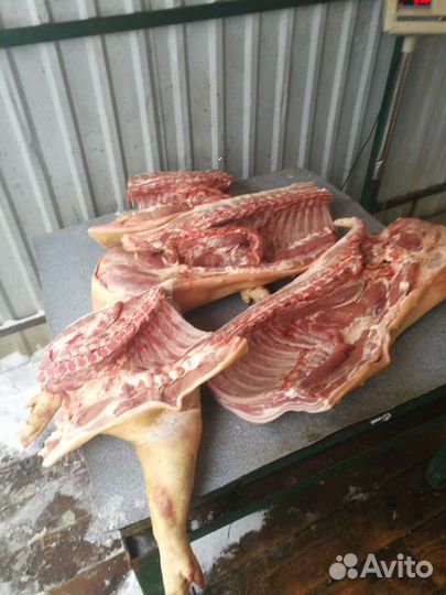 Свинина домашняя