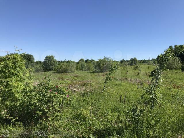 Участок 11,3 сот. (ИЖС)