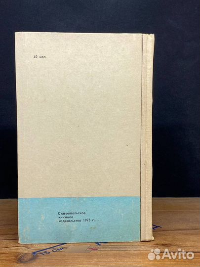 Железный поток