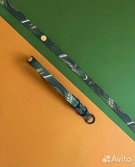 Ошейник и поводок