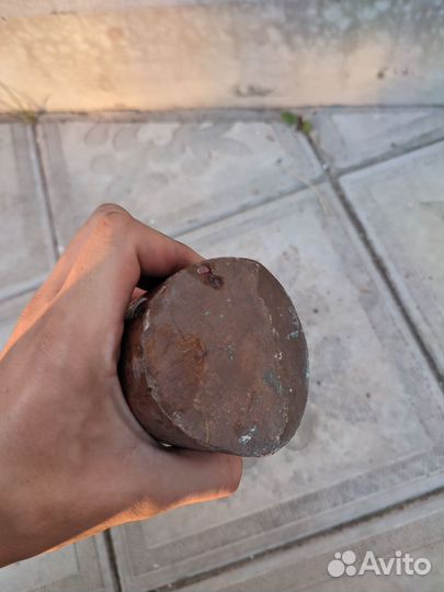 Кругляк медный