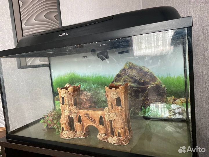 Аквариум