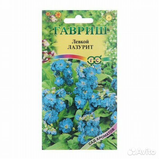 Левкой рассада