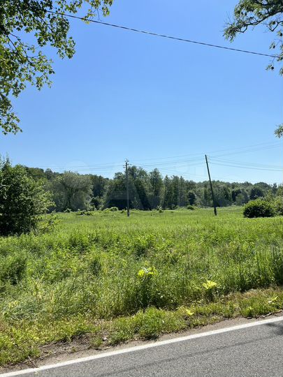 Участок 50 сот. (ИЖС)