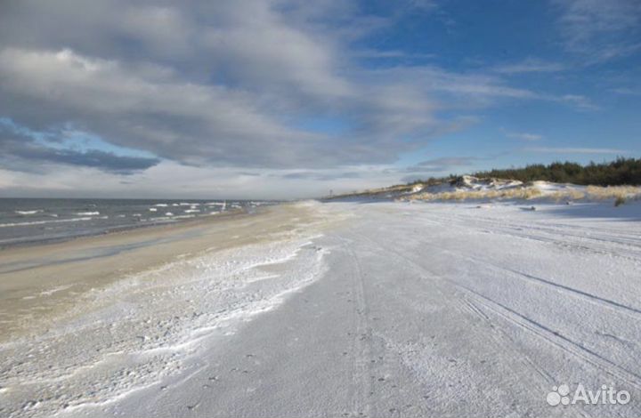 Куршская коса. Светлогорск. Зеленоградск