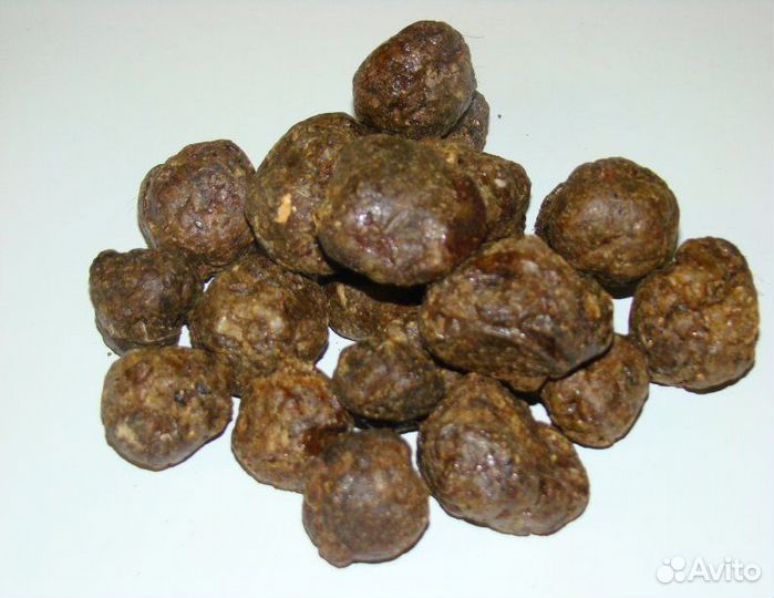 Прополис пчелиный