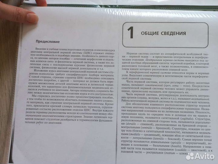 Анатомия цнс для студентов мед вузов