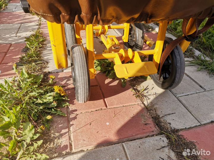 Санки для двойни