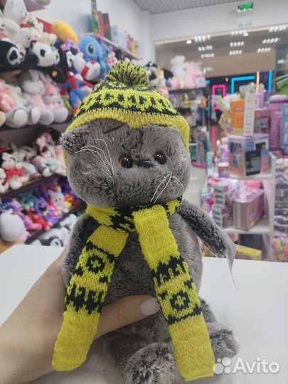 Кот басик