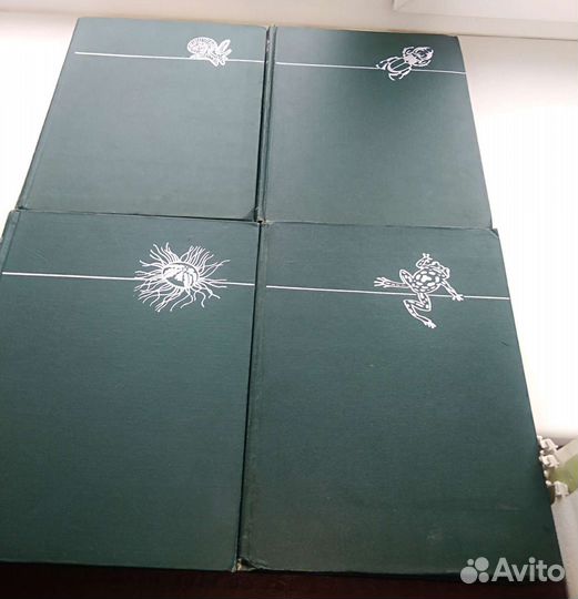 Жизнь животных 1969год