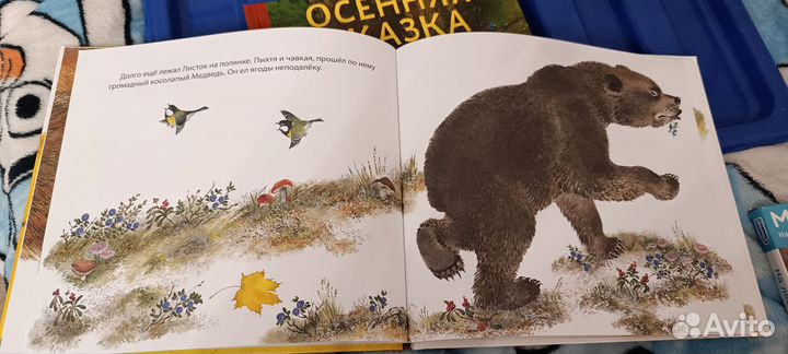 Книга лесная сказка