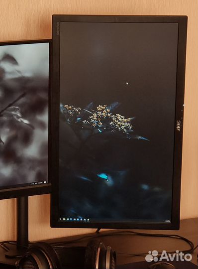Мотниторы AOC I2276VWM и LG IPS277L