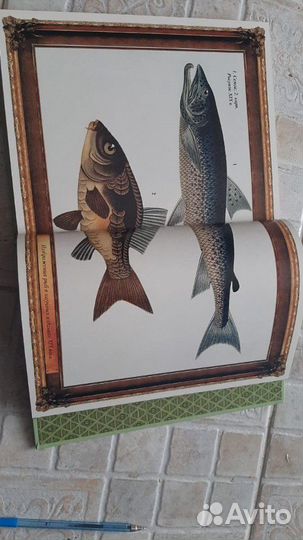 Книга для рыбака