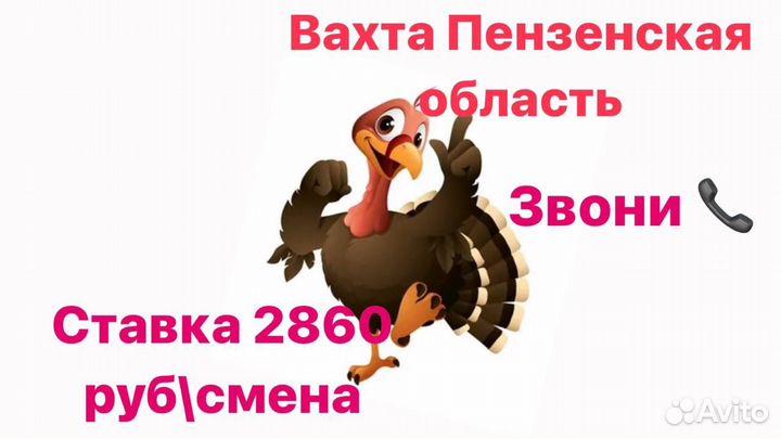 Разделка/упаковка индейки вахта Пензенская обл