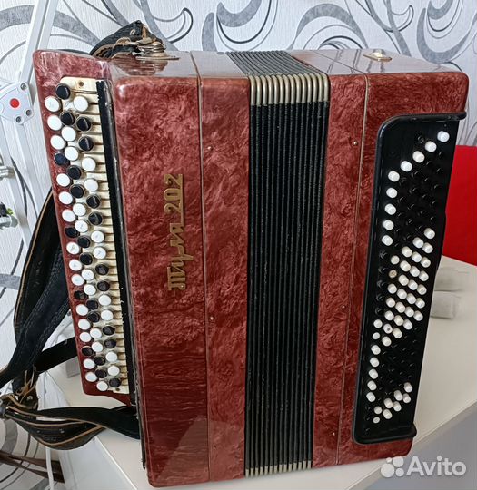 Баян Тула 202