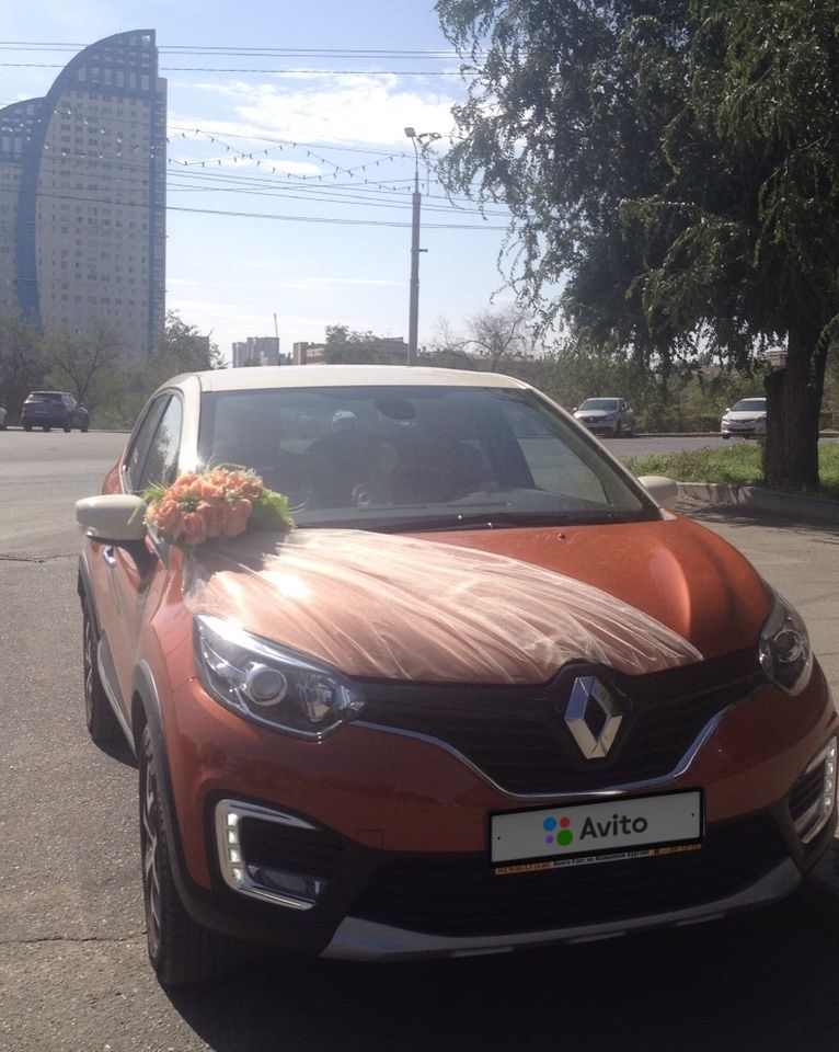 Renault Kaptur: фото владельца