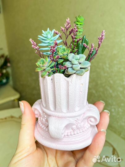 Минисадики с суккулентами. Грут