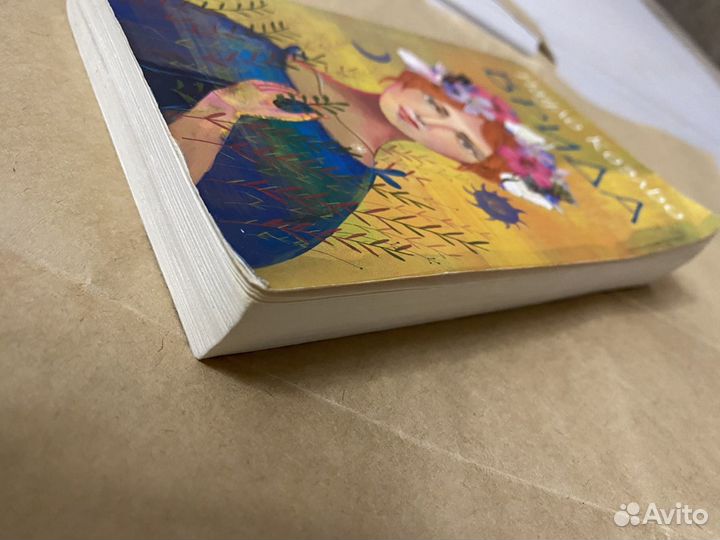 Книга Брида