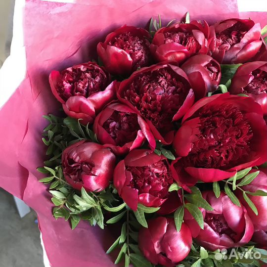 Букет из бордовых пионов