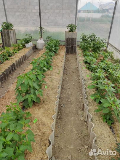 Мульча, солома, удобрения,грибные блоки